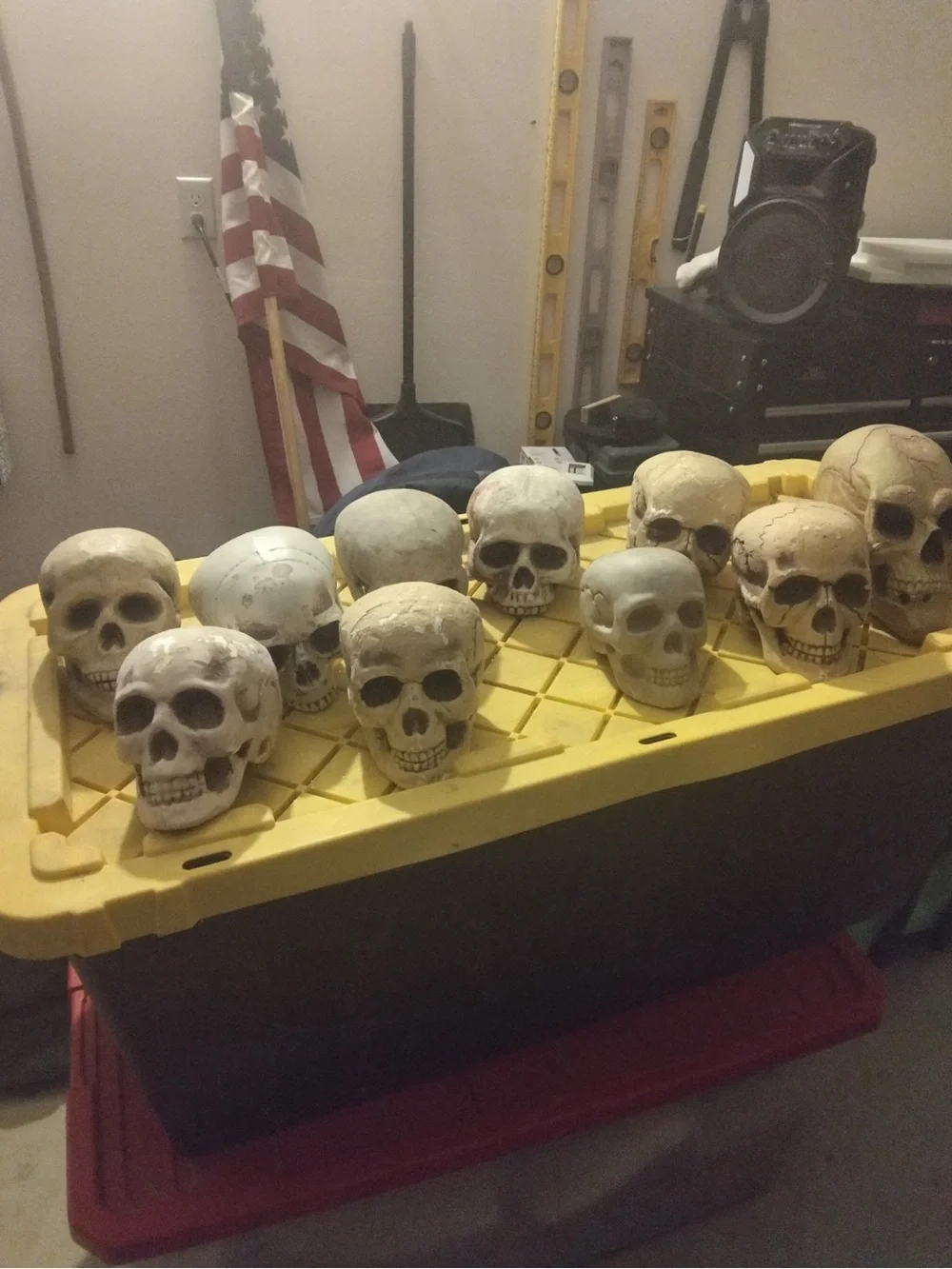 Set of 10 Decorative Skull Props - Beige/Off-White